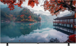 Телевизор Haier 55 LED H1